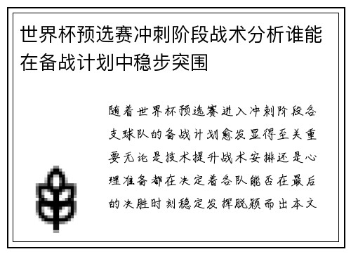 世界杯预选赛冲刺阶段战术分析谁能在备战计划中稳步突围